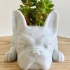 1pc Mini Resin PuppyFlower Pot, Succulent Planter, French Bulldog Shape Cute Bonsai Flower Pots, Cute Dog Flower Pots, Air Plant Holder, For Home Gard